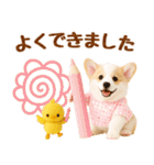 ラフな敬語の癒しコーギー（個別スタンプ：30）