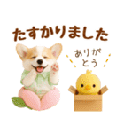 ラフな敬語の癒しコーギー（個別スタンプ：32）