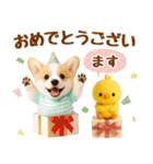 ラフな敬語の癒しコーギー（個別スタンプ：34）