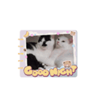 うごく！ちゃむ♡めるスタンプ（個別スタンプ：7）