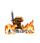 動く！ハゲプードル（個別スタンプ：14）