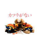 動く！ハゲプードル（個別スタンプ：15）