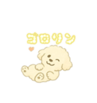 可愛い白いトイプードル日本語バージョン（個別スタンプ：3）