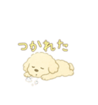 可愛い白いトイプードル日本語バージョン（個別スタンプ：7）