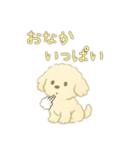 可愛い白いトイプードル日本語バージョン（個別スタンプ：10）