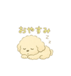 可愛い白いトイプードル日本語バージョン（個別スタンプ：14）