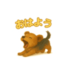 可愛らしいヨークシャテリアのスタンプ（個別スタンプ：1）