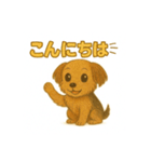 可愛らしいヨークシャテリアのスタンプ（個別スタンプ：3）