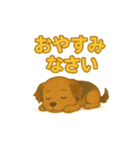 可愛らしいヨークシャテリアのスタンプ（個別スタンプ：4）