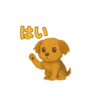 可愛らしいヨークシャテリアのスタンプ（個別スタンプ：17）