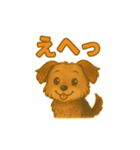 可愛らしいヨークシャテリアのスタンプ（個別スタンプ：37）