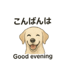 白ラブと学ぶ！英語×日本語スタンプ（個別スタンプ：4）