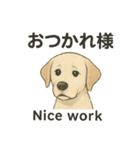 白ラブと学ぶ！英語×日本語スタンプ（個別スタンプ：5）