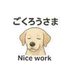白ラブと学ぶ！英語×日本語スタンプ（個別スタンプ：6）