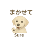 白ラブと学ぶ！英語×日本語スタンプ（個別スタンプ：10）