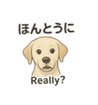 白ラブと学ぶ！英語×日本語スタンプ（個別スタンプ：12）