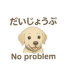 白ラブと学ぶ！英語×日本語スタンプ（個別スタンプ：14）