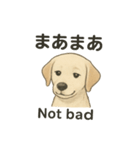 白ラブと学ぶ！英語×日本語スタンプ（個別スタンプ：15）