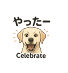 白ラブと学ぶ！英語×日本語スタンプ（個別スタンプ：16）