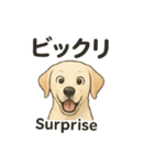 白ラブと学ぶ！英語×日本語スタンプ（個別スタンプ：18）