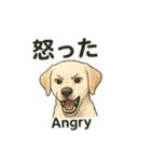 白ラブと学ぶ！英語×日本語スタンプ（個別スタンプ：20）
