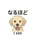 白ラブと学ぶ！英語×日本語スタンプ（個別スタンプ：27）