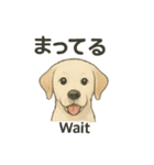 白ラブと学ぶ！英語×日本語スタンプ（個別スタンプ：32）