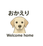 白ラブと学ぶ！英語×日本語スタンプ（個別スタンプ：38）