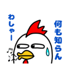 にわとりのコックェ（個別スタンプ：8）