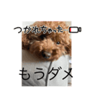 第三者がラインにはいってくる（個別スタンプ：8）