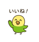 インコ日本語バージョン（個別スタンプ：1）