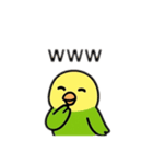 インコ日本語バージョン（個別スタンプ：4）