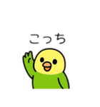 インコ日本語バージョン（個別スタンプ：6）