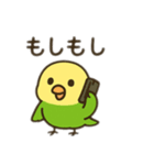 インコ日本語バージョン（個別スタンプ：8）