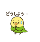 インコ日本語バージョン（個別スタンプ：10）