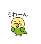 インコ日本語バージョン（個別スタンプ：11）