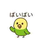 インコ日本語バージョン（個別スタンプ：13）