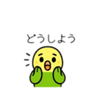 インコ日本語バージョン（個別スタンプ：14）