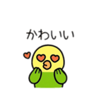 インコ日本語バージョン（個別スタンプ：15）