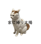 THAI-HEY-YOW（個別スタンプ：9）
