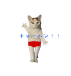 THAI-HEY-YOW（個別スタンプ：15）