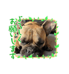 ぱる5（個別スタンプ：3）