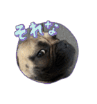 ぱる5（個別スタンプ：8）