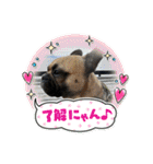 ぱる5（個別スタンプ：19）