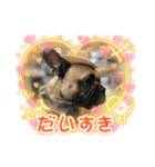 ぱる5（個別スタンプ：23）