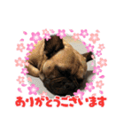ぱる5（個別スタンプ：25）