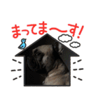 ぱる5（個別スタンプ：26）