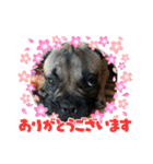 ぱる5（個別スタンプ：31）