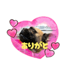 ぱる5（個別スタンプ：32）