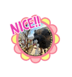 ぱる5（個別スタンプ：33）